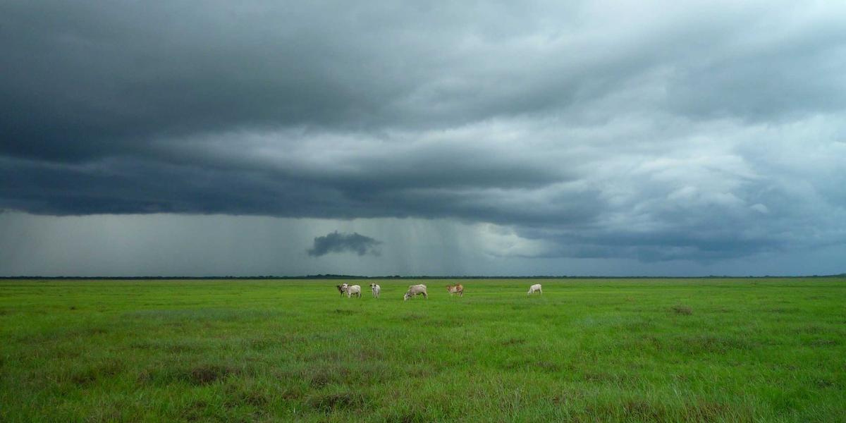 Info Day for GovTech Programme Held in Podgorica