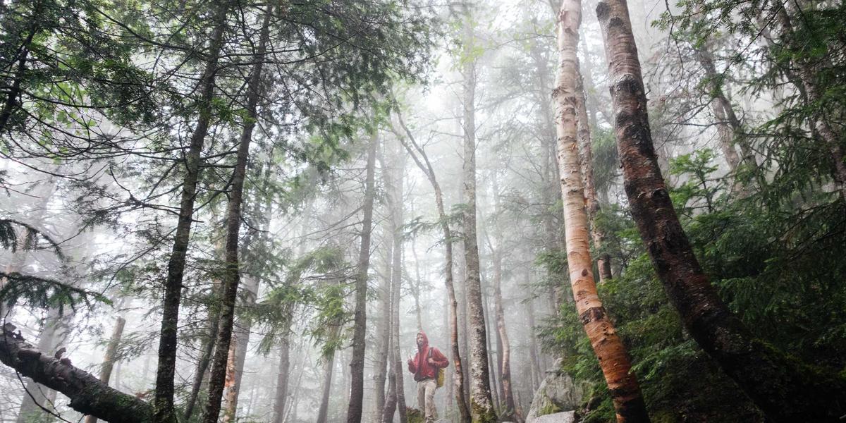 Open Doors Day at the Innovation Fund — Meet the Team